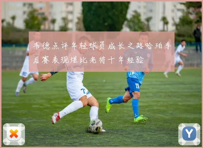 韦德点评年轻球员成长之路哈珀季后赛表现堪比老将十年经验
